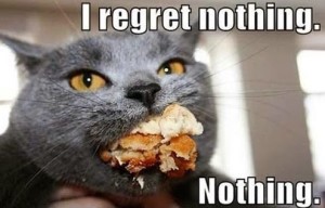 funny-regret-nothing-cat-eating-mouth-full-pics-2